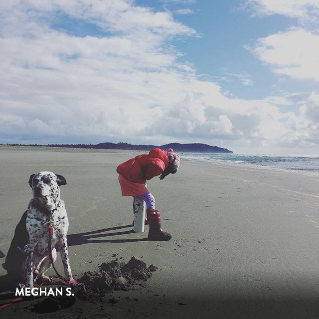 AdriftHotel's tweet photo. Morning dig dates coming up. Dig your limits under the sun! #getyourdigon #adrifthotel #clamon #longbeachwa https://t.co/v7Splefanw