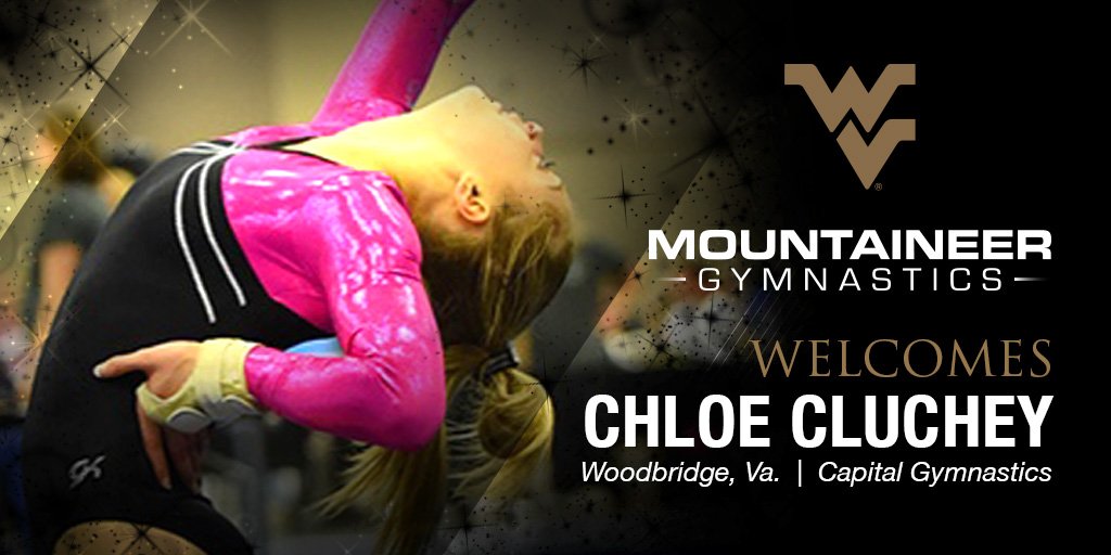 WVU Gymnastics tweet media