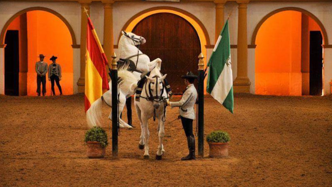FUNDACIÓN REAL ESCUELA ANDALUZA DEL ARTE ECUESTRE. Solicite información y visite estas maravillosas instalaciones