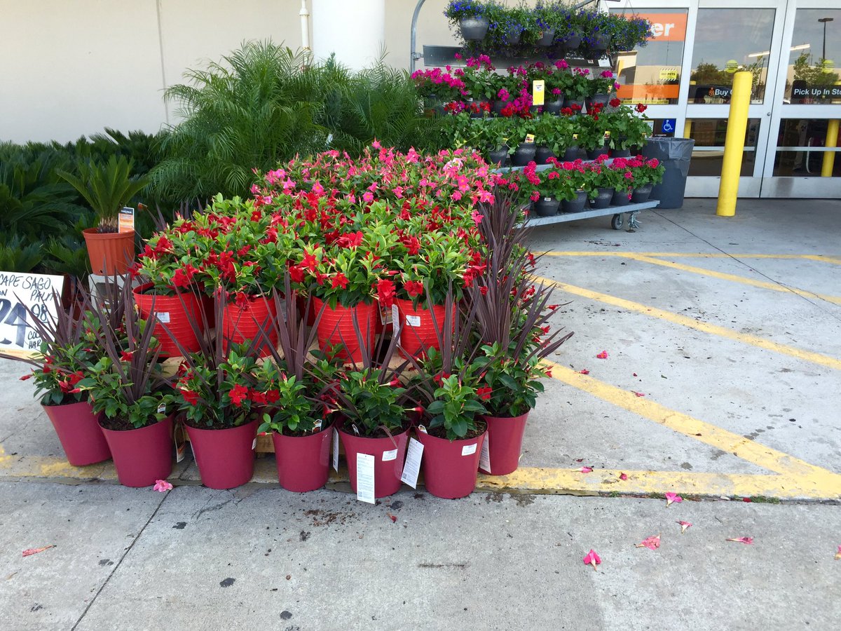 Jacob02USMC's tweet photo. 1116&amp;1122 getting jump start on mothersday front entrance play @Pat_Fischetti @THD_HXT @wlivingston8 @Haydnchilcott https://t.co/VQDMnt7THR