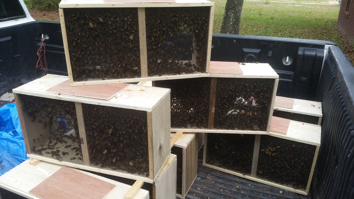 OxxBeekeeping's tweet image. #OxxBeekeeping #OneWithNature #Spring #Package #Bees has arrived #HoneyBees #SaveTheBees #Pollinators #BeeComing