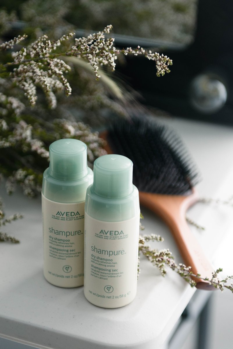 aveda's tweet photo. Save time and extend your style with #DryShampure.  #LessWaterWednesday  https://t.co/AX0qlmrEnL https://t.co/IZvxIkbnwF