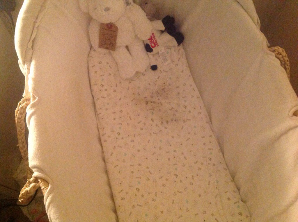 PBCGroup1's tweet photo. @FirstWessex a 4 month old baby sleeps here and just like the rest of the property you do nothing (1) https://t.co/7qx4jyPc3V