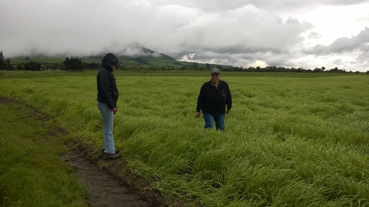 Agricultura Pichincha On Twitter Infomagap Inspeccion De