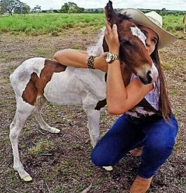 thedroppe's tweet photo. Tão delicada feito coice de mula 👢🐎🍀 https://t.co/em1sIgrhuI