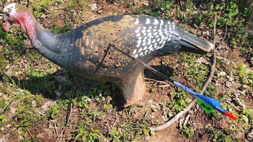 bowdaddy8's tweet photo. 50 yard xring...... the carbon spyder is ready to deal a lethal bite on a big ohio gobbler monday morning! #hoyt https://t.co/opPtAtXu0I