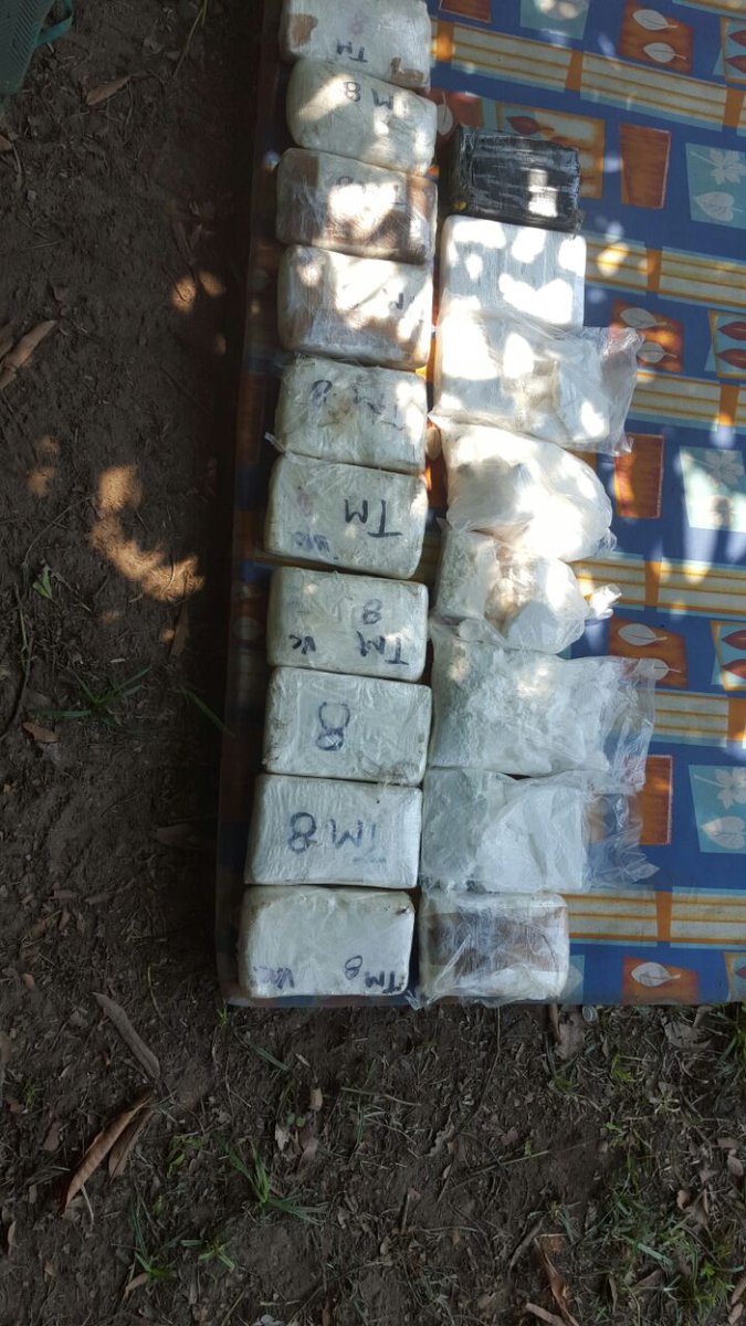 fusina5's tweet photo. fusina contabiliza 229 paquetes de supuesta droga en revisión de narcolaboratorio encontrado en Balfate. Colon. https://t.co/WAZr3eru3E