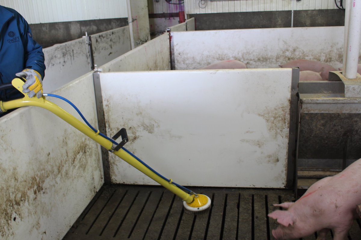SwiftEnvEquip's tweet image. Cleaning pig pens with a shovel is hard work, did you know there&apos;s a Vac for that!