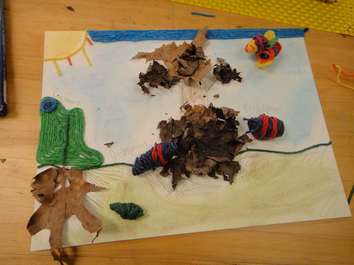 SpringRidge1's tweet photo. Gr. 5 sts develop a model use art media to show understanding of energy flow in an ecosystem. @dawngetzandanne https://t.co/ULYqpWAjkn
