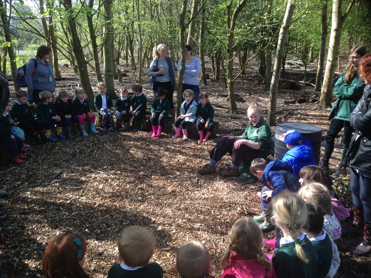 InfNetley's tweet photo. Fantastic day today for the Quails. We met lots of lovely @SwallowClass children too!! #FORESTvalues #friendship https://t.co/Dw2ACn9MVY