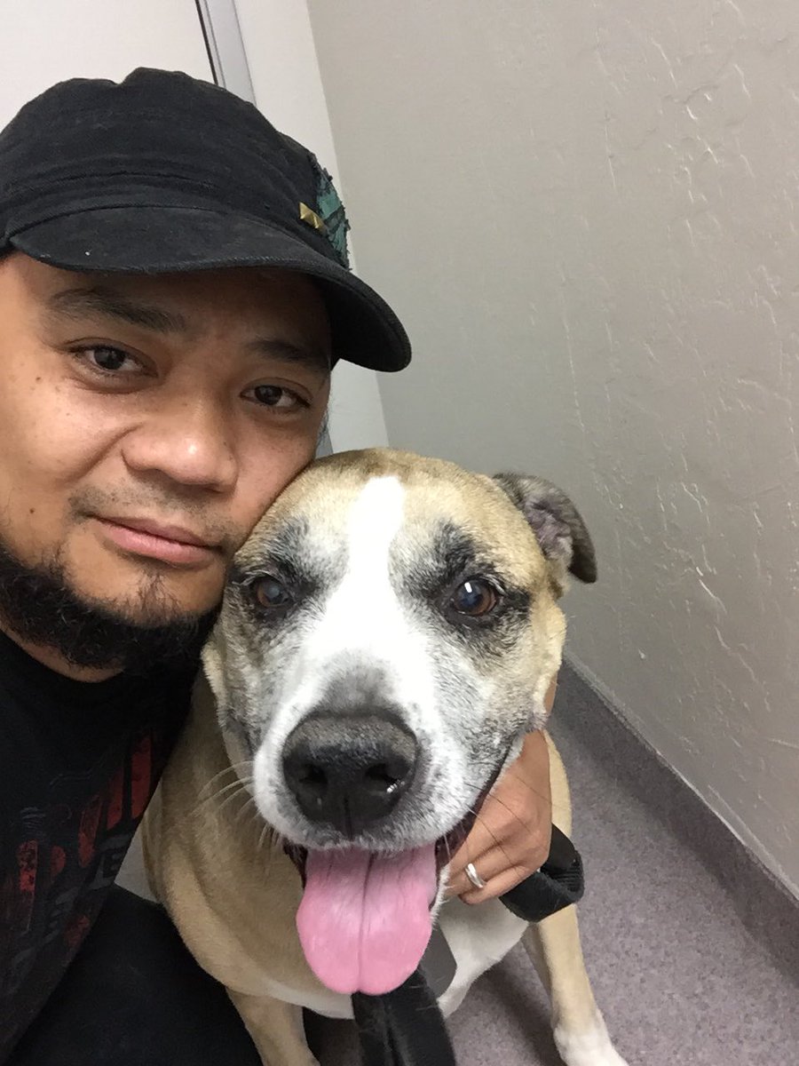 MhonsiFerreras's tweet image. I will see you again my best dog ever! Someday soon! #kitchie