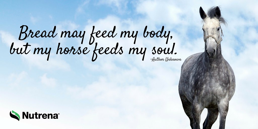 Nutrena Feed tweet media