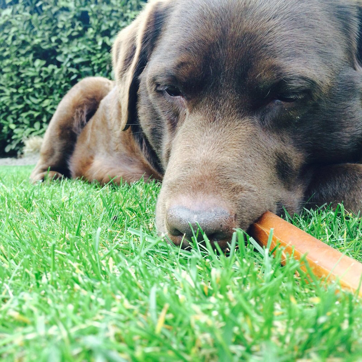 Fotoshootje met Jillie😱💗😘