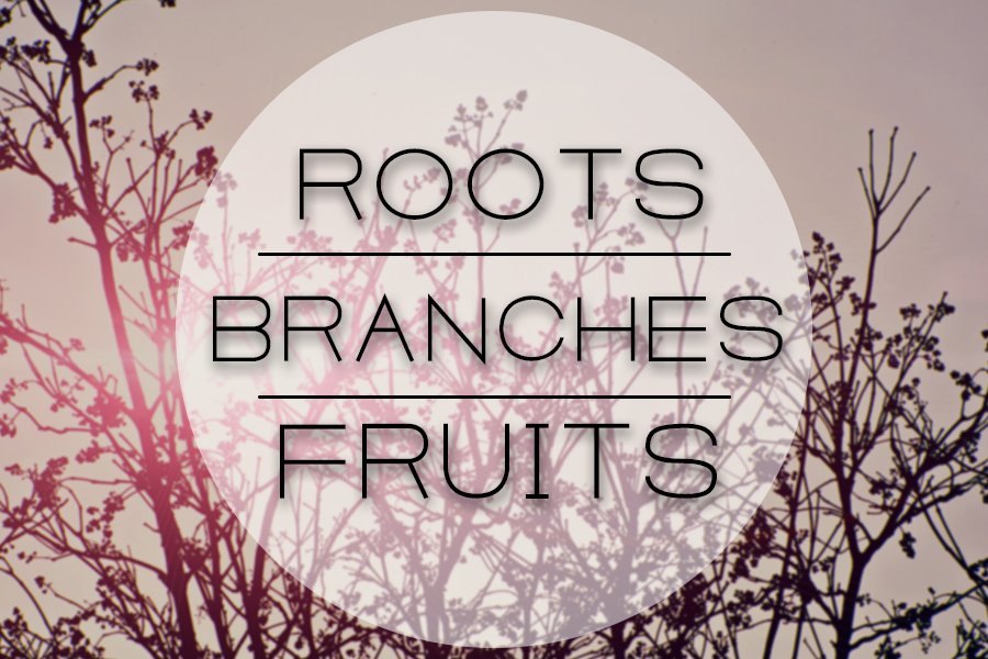 Get ready to grow with our Roots, Branches, Fruits small group curriculum. #youthministry tinyurl.com/h6bllqn
