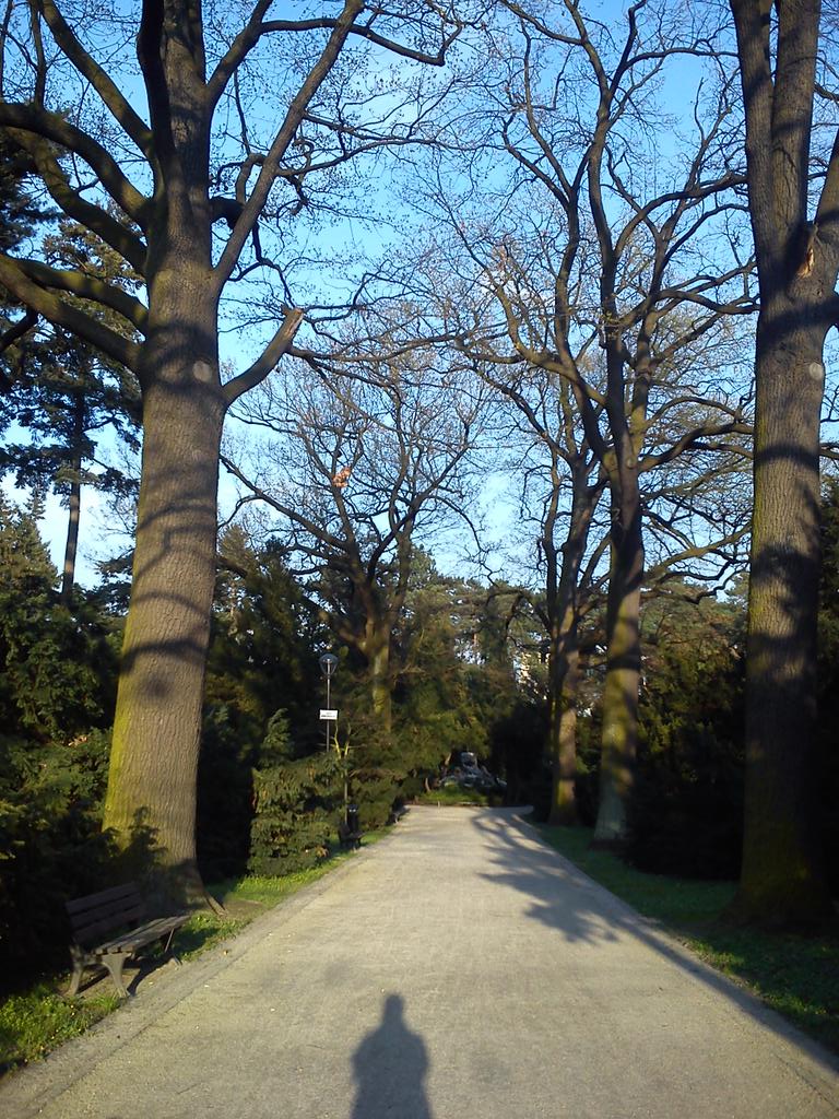 KejtShelby's tweet photo. @Kejt_Pe niby #wiosa, kwiatów pełno, ale nie wszystko jeszcze zielone ;) #flowers #parks #bridge #springtime https://t.co/EZTzzWmuSS