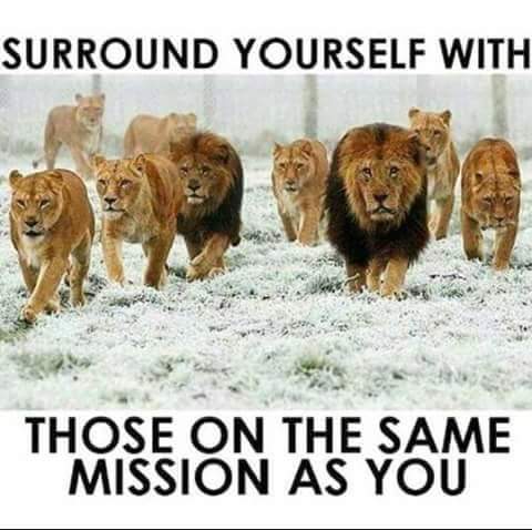 Team work make the dream work