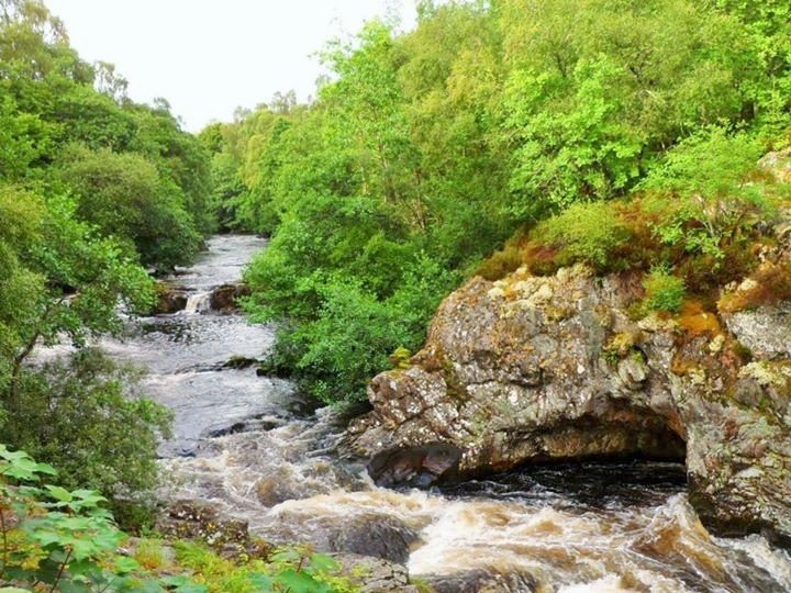 TangerineKray's tweet image. Magical Falls of Shin #fallsofshin #worldtourofuk #uktravels #scotland