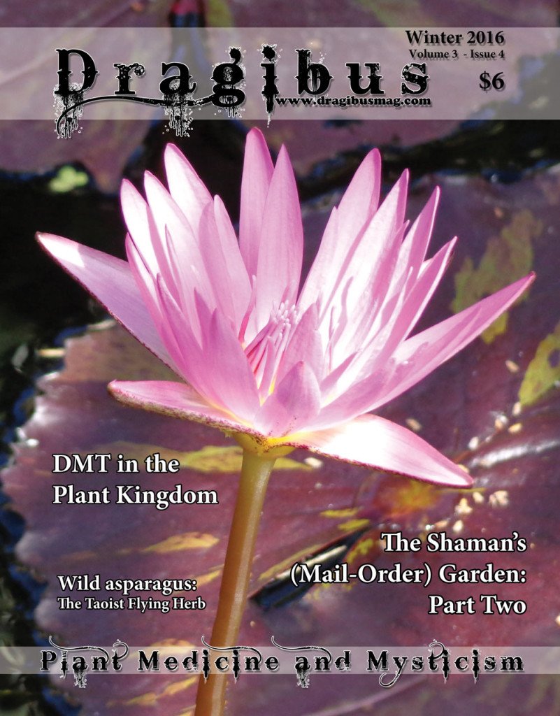 Dragibus Magazine On Twitter Dmt In The Plant Kingdom Part