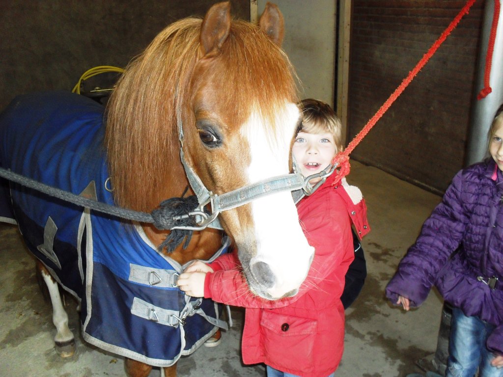 Dit voorjaar kennismaking paardensport voor >1000 kids <a href="/limburg/">Provincie Limburg</a> <a href="/GoforGoldKids/">Go for Gold Kids</a> #basisscholen Start@Bergemo&amp;Joabel