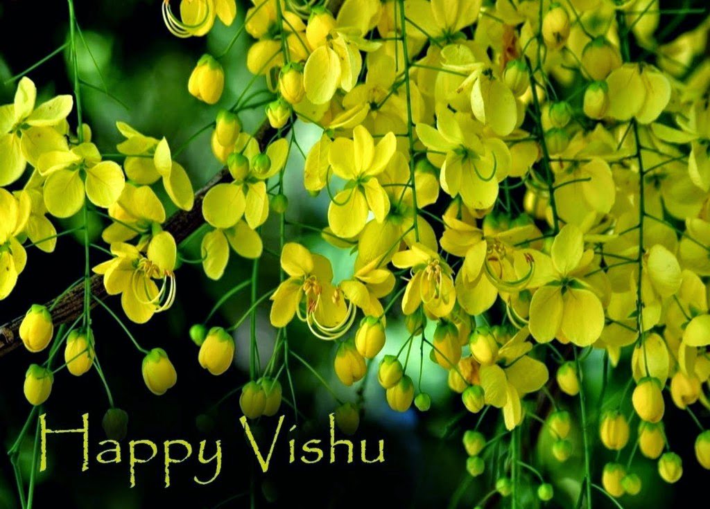 Happy Vishu.