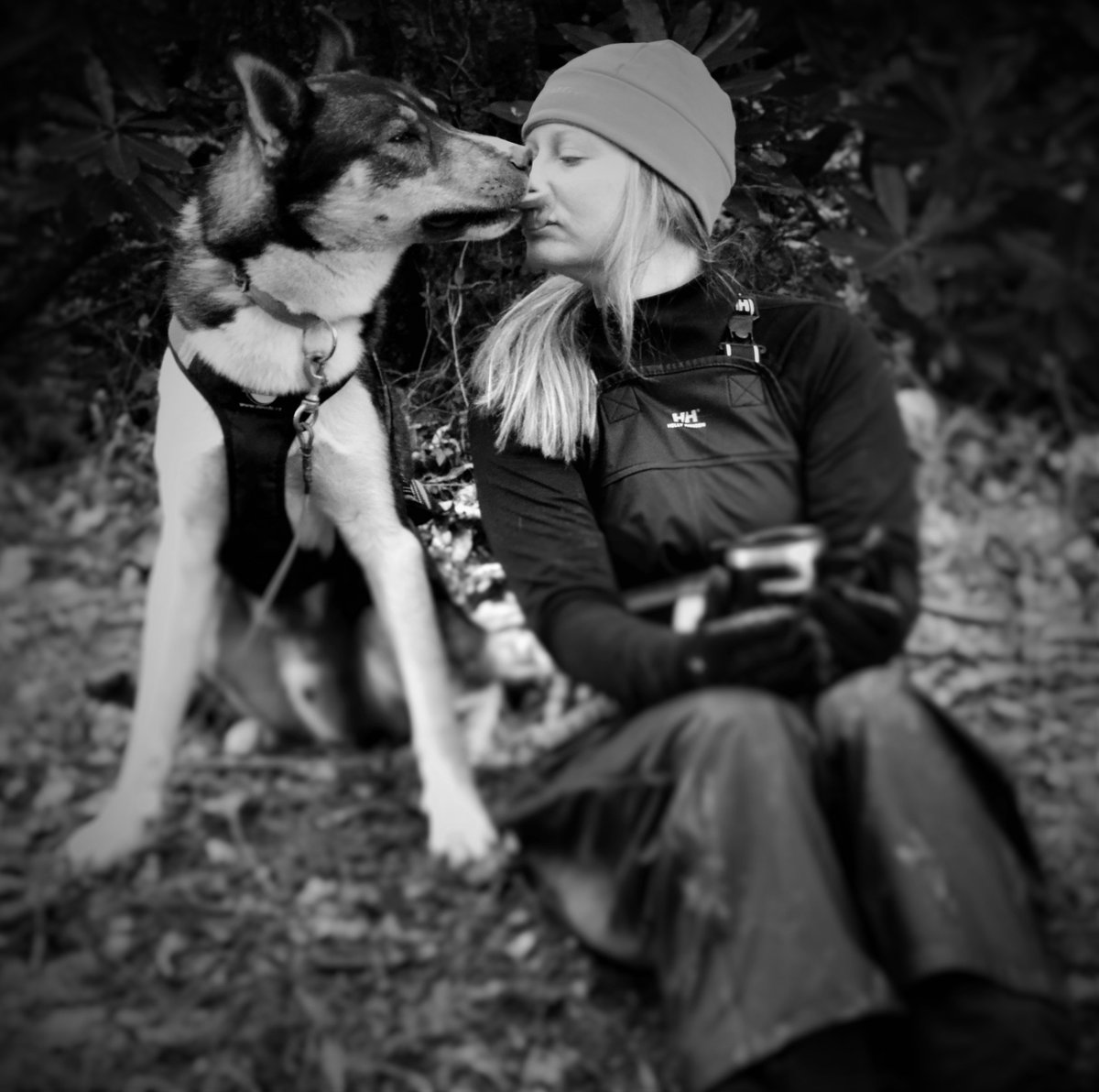 Demoneira's tweet photo. Thanks for the Run Ma! #siberianhuskies #zerodc #hellyhensen #drylandmushing #sleddog https://t.co/BCxxFLhbok
