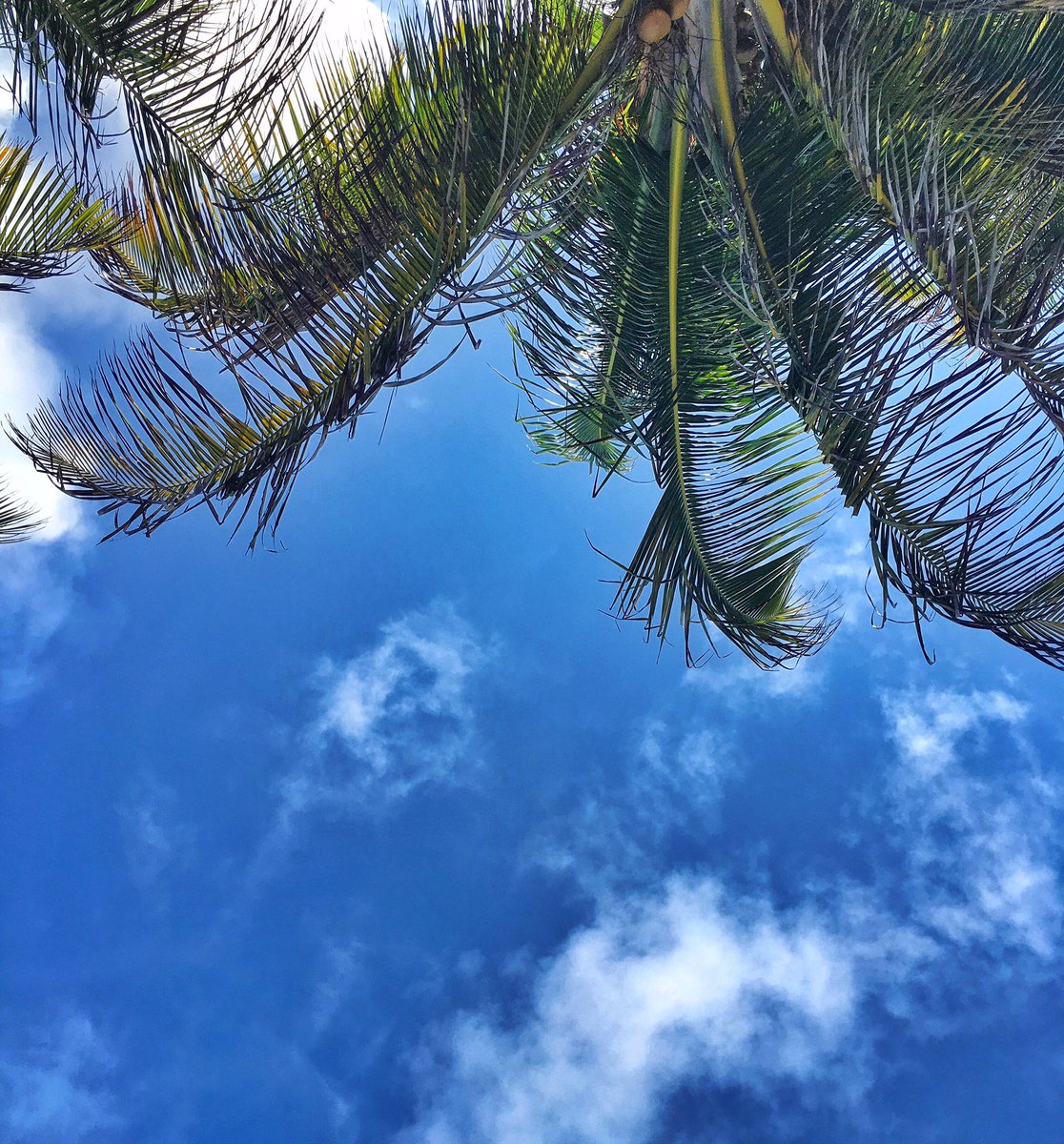 GeoffKCooper's tweet photo. My view. Hump day woes vanish. #GeoffKCooper #Caribbean #SagaboiOnTheRoad https://t.co/F1V3JJrXwz