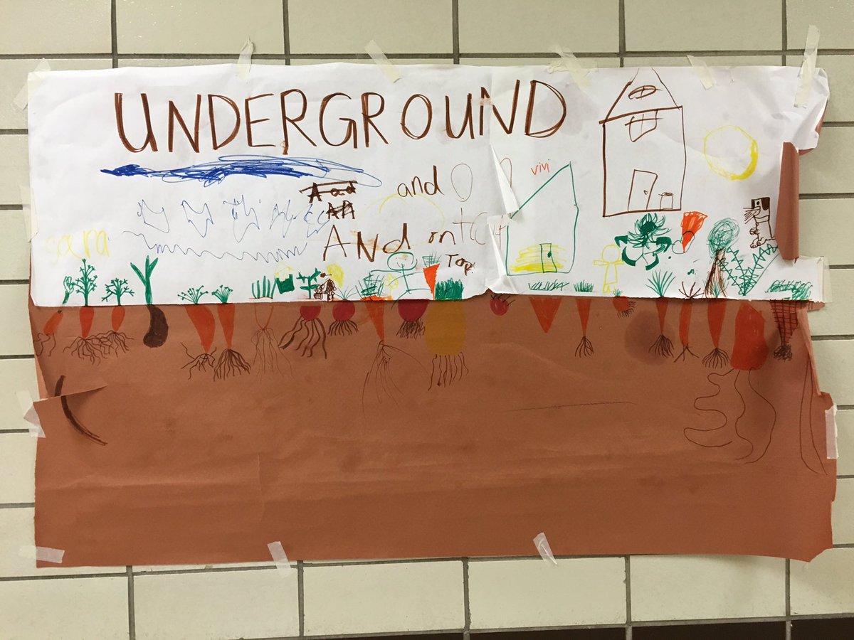 How does it grow? Underground and on top!