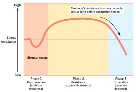 General Adaptation Syndrome Ap Psychology - Quotes Trending