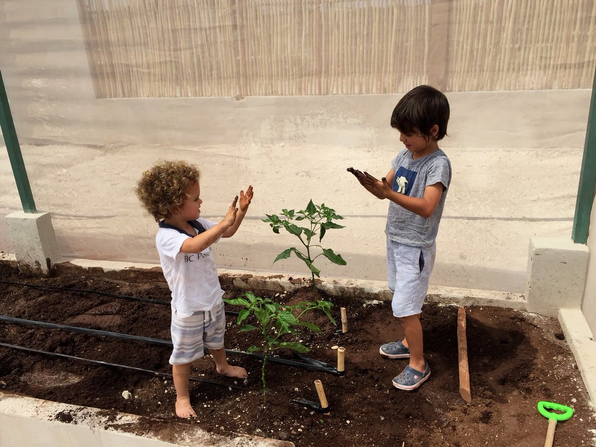Rodolforosas's tweet photo. Disfrutando de una hermosa tarde con los nietos, despertando el respeto y cuidado a la naturaleza. https://t.co/K9gcZB8Mg6