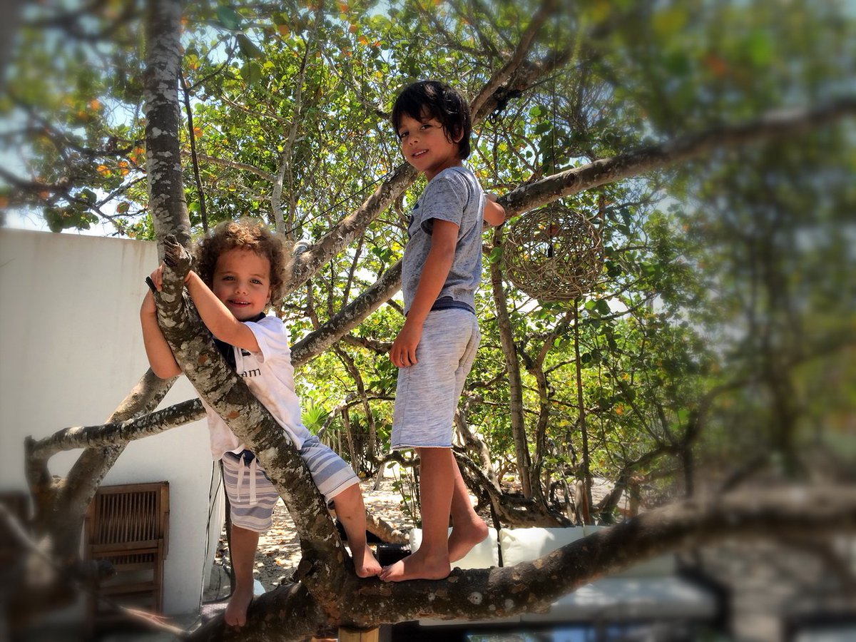 Rodolforosas's tweet photo. Disfrutando de una hermosa tarde con los nietos, despertando el respeto y cuidado a la naturaleza. https://t.co/K9gcZB8Mg6