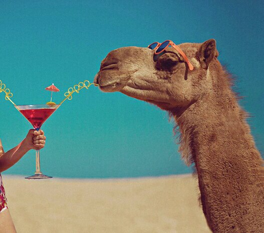 PalacioLG's tweet photo. #humpday #margarita https://t.co/LCNyWKNuJ1