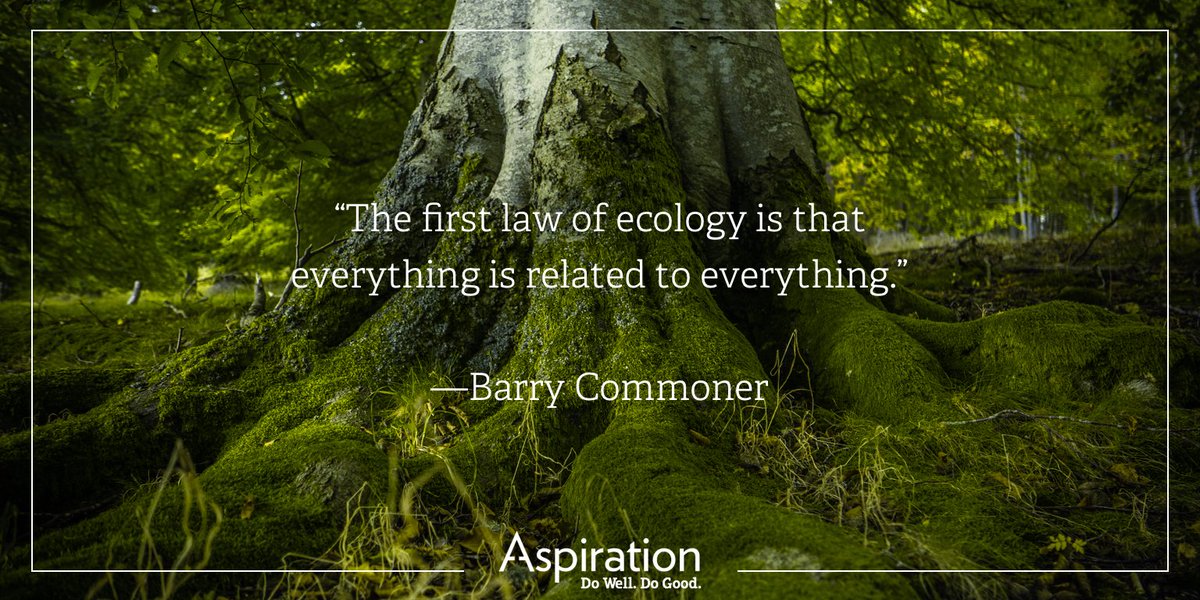 greenfibanking's tweet image. &quot;The first law of ecology is that everything is related to everything.&quot; - Barry Commoner #eco