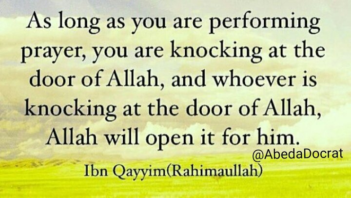 ALLAH'S BEAUTY عابدة (@abedadocrat) on Twitter photo 