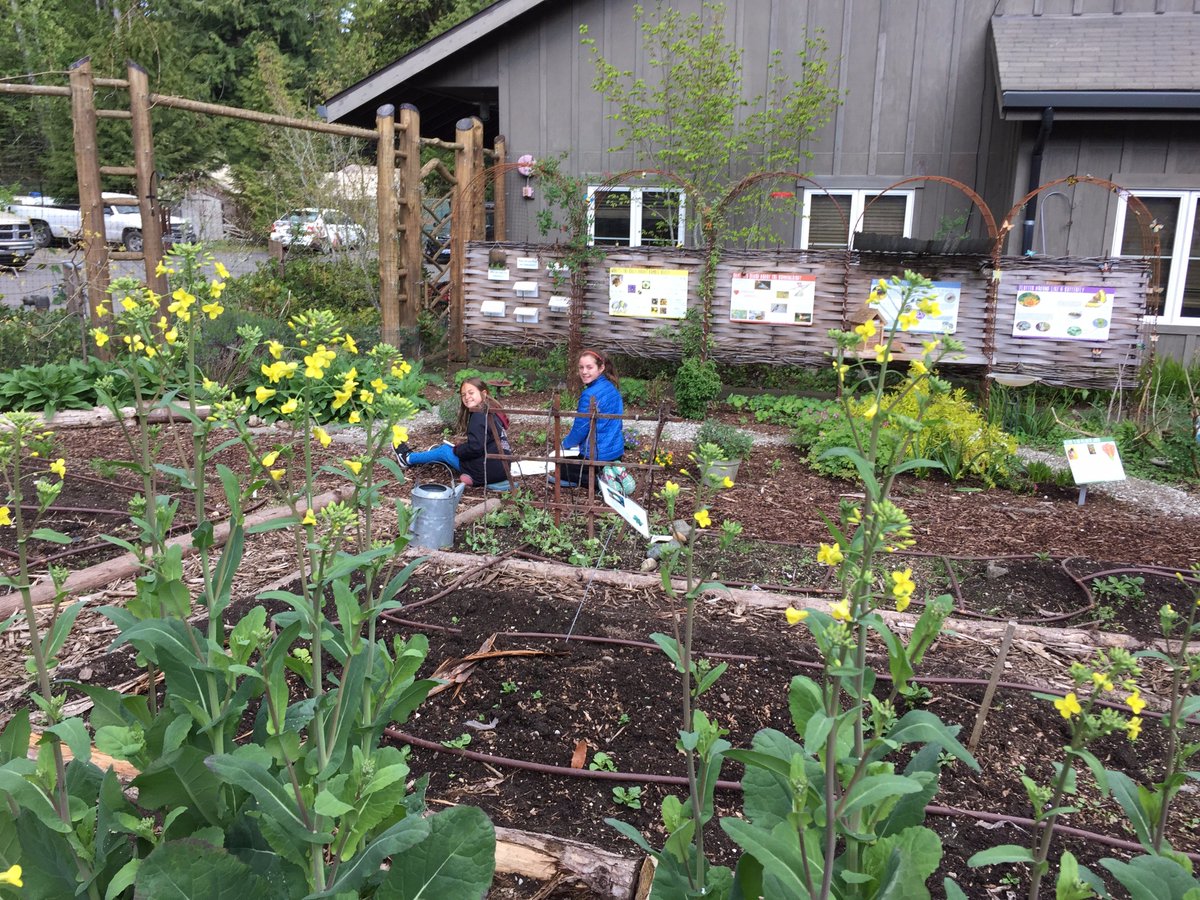 ForestRidgeMS's tweet photo. Which garden plants do pollinators love? We are observing closely and sketching.  #gr5 @IslandWood https://t.co/xU80MSfdgv
