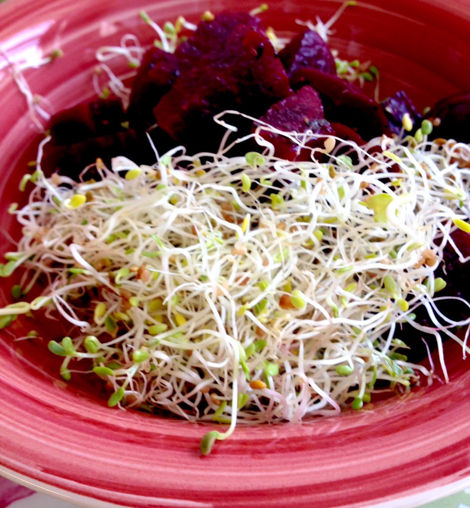 silicongirl's tweet photo. Home-grown sprouts & beet salad. #noms #beetThis #vegan #vegetarian #foodporn #forthesoul #itsbeets https://t.co/KCnxhLJnp1