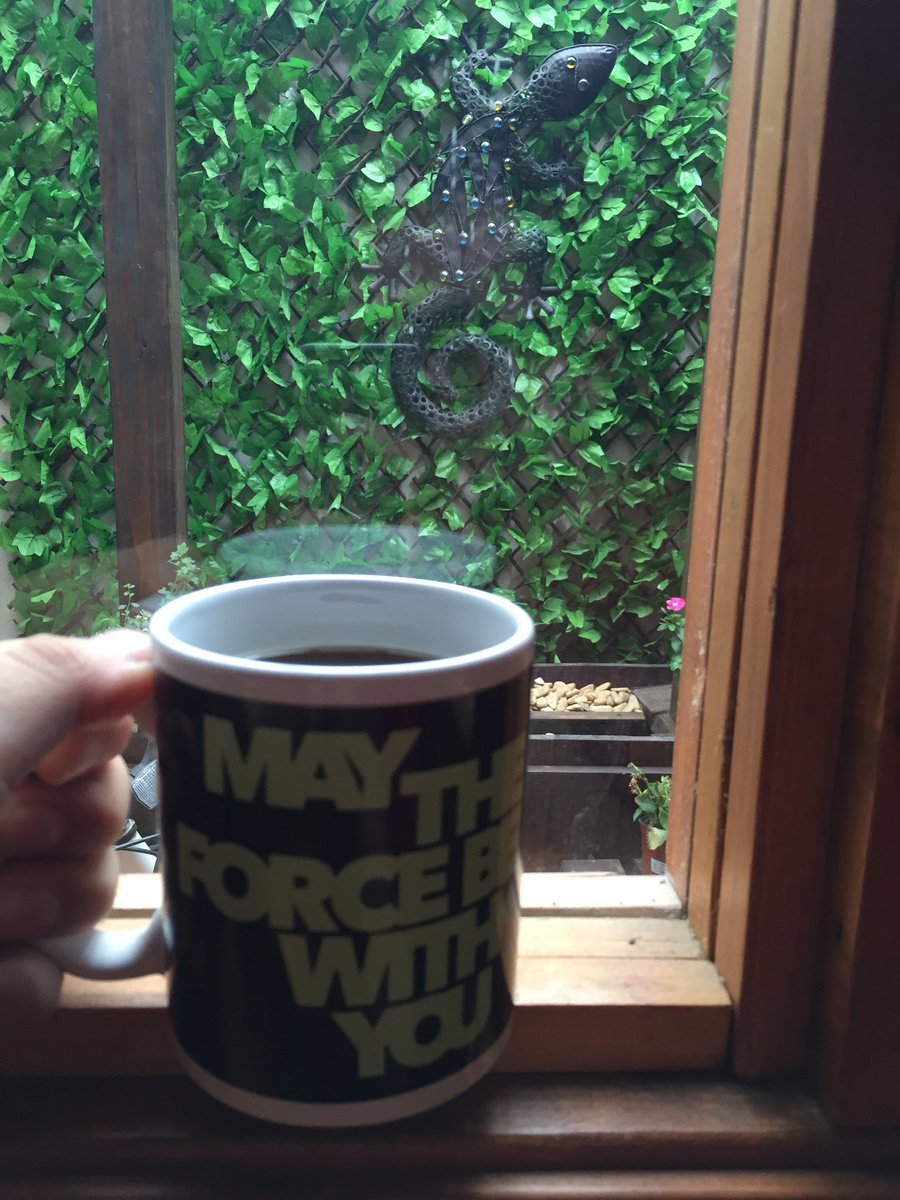 knaverit's tweet image. Haciendo una escala en Dagobah.
#JAVA_HOME ☕️🌱🍃🍂 #StarWars #MayTheForceBeWithYou
