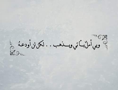 قطر الندى (@nourahmed313) on Twitter photo 