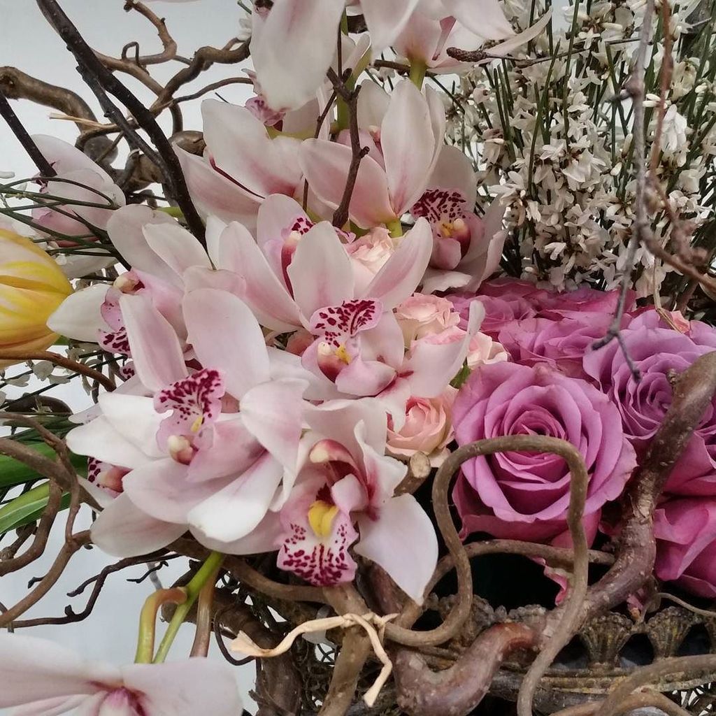 jpmoseley's tweet photo. All roads lead to @HarrogateFlower next week for 4 days of #flowertalk #floristry #demonst… https://t.co/ebuSDfjXP2 https://t.co/FU3YPhr7St