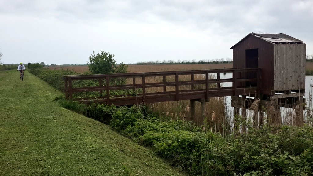 campabiker's tweet photo. Riding on the way to Valle Vecchia #lovecaorle @CaorleBy @caorle_it @CaorleEventi @TurismoVeneto @IveVeneto https://t.co/I0W29zK5Cn
