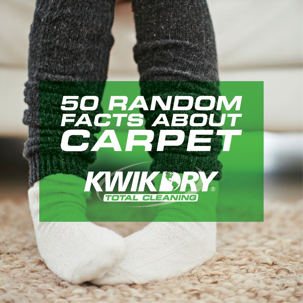 MiamiKwikDry's tweet photo. It's always good to know the facts, right? https://t.co/cSJm76VyTH #KwikDry #carpetcleaning #springcleaning #carpet https://t.co/SAmcW1x0KY