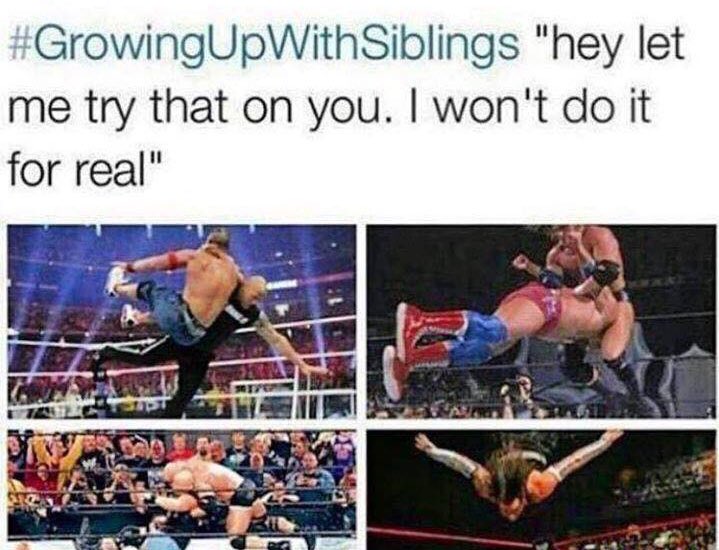 LucipurrVonMars's tweet photo. It was the #pedrigree #razorsedge and #stonecoldstunner 24/7 with my brother &amp; cousins. 😭😭 #90sKid https://t.co/qI05xhdETY
