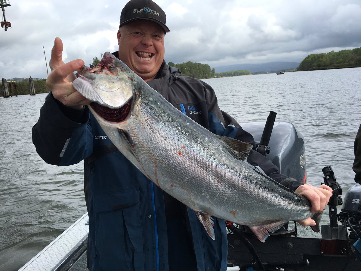 topguidesnw's tweet image. Nice way to start the day!!
#springers. #topguides