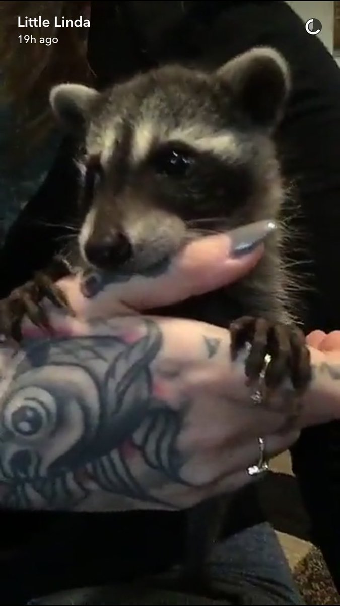 peacelovedmb's tweet image. Obsessed with your snap story 😩😍 @littlebabylinda #SoFuckingCute