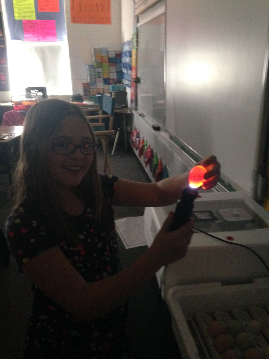Reber_4thGrade's tweet photo. Candling the eggs #wlcardpride #wleduchat #science https://t.co/i0giq11qqr