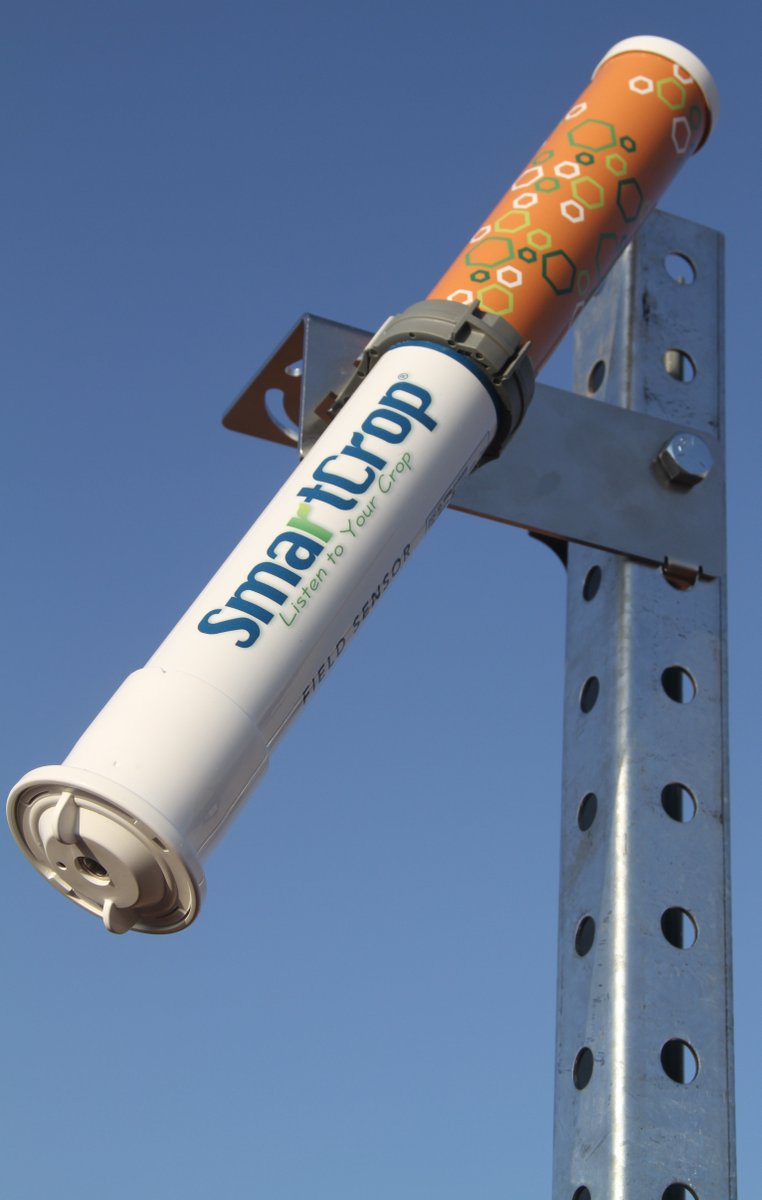 Smartfield_Inc's tweet photo. #SmartCrop® #Iot sensors have collected #BigData on many row #crops, trees and vegetables. #GrowingAGreenerFuture https://t.co/ug5usD0n3F