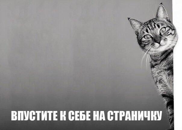 MoscowEscape's tweet image. Улыбнемся😉😉😉