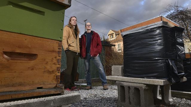 TheSpec's tweet photo. Hamilton duo wants to put a beehive in your backyard https://t.co/S39D0CX1iZ https://t.co/tsFinqK8ot