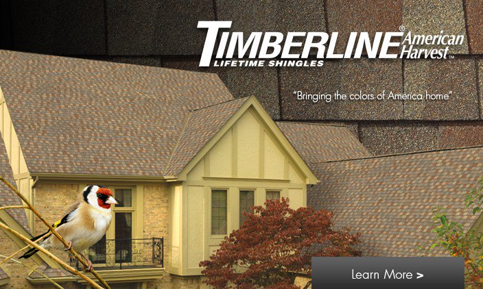 GAFTimberlineShingle tweet media