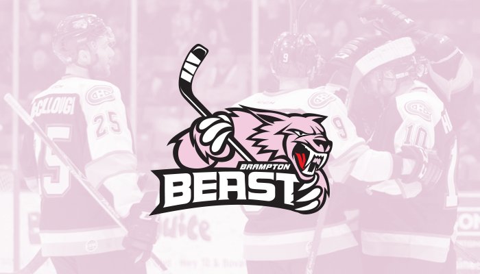 BramptonBeast's tweet photo. No one should ever feel discouraged about who they are. Fight bullying, celebrate diversity! #DayOfPink https://t.co/U5hsdDN7Vn