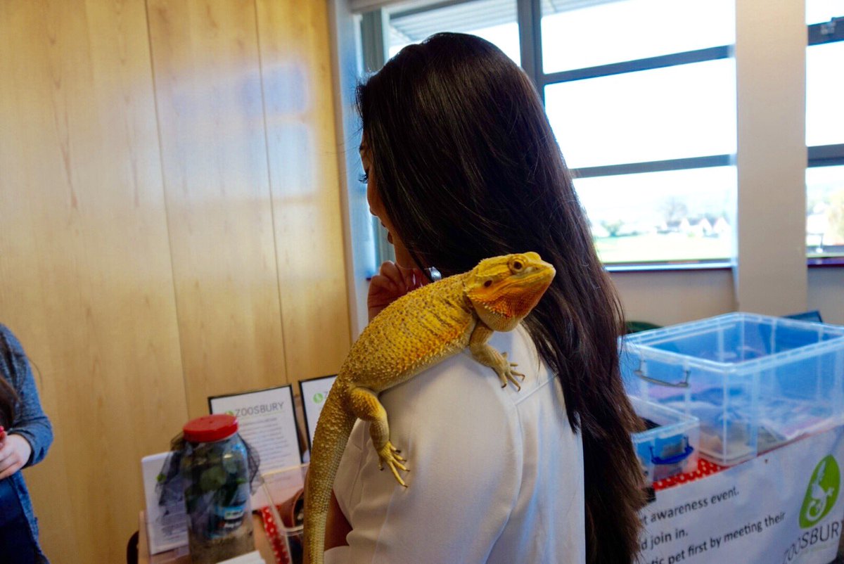 Thank you again to zoosbury for coming to the careers fair <a href="/emily_parry99/">Emily</a> @sprobert3